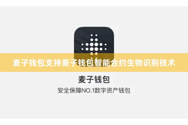 麦子钱包支持麦子钱包智能合约生物识别技术