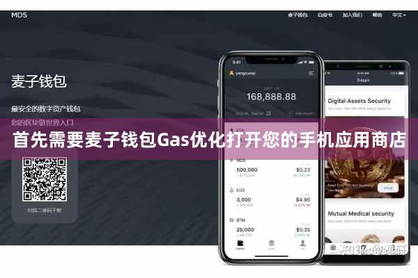 首先需要麦子钱包Gas优化打开您的手机应用商店