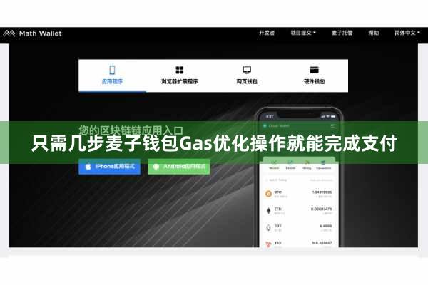 只需几步麦子钱包Gas优化操作就能完成支付