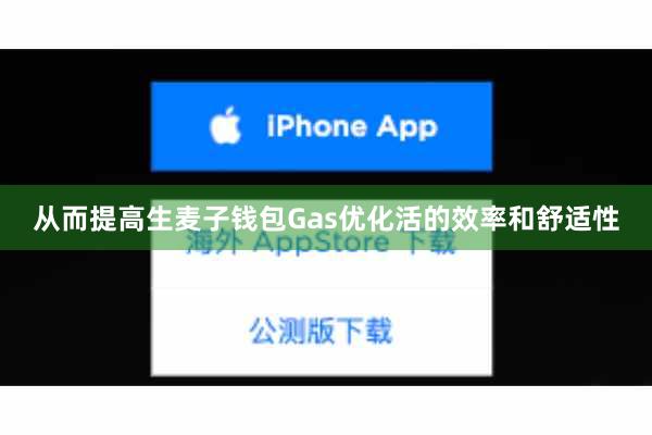 从而提高生麦子钱包Gas优化活的效率和舒适性