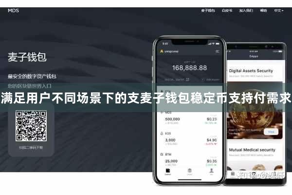 满足用户不同场景下的支麦子钱包稳定币支持付需求