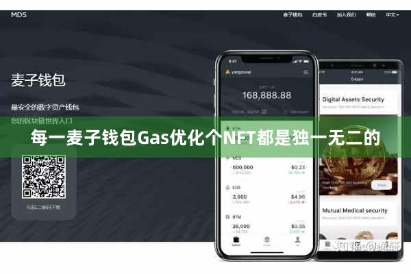 每一麦子钱包Gas优化个NFT都是独一无二的