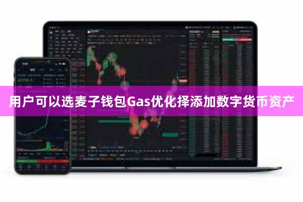 用户可以选麦子钱包Gas优化择添加数字货币资产