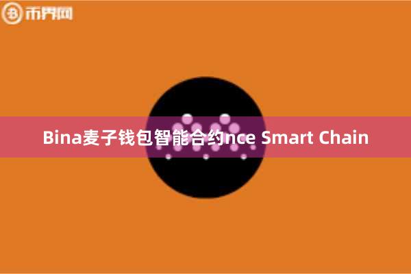 Bina麦子钱包智能合约nce Smart Chain