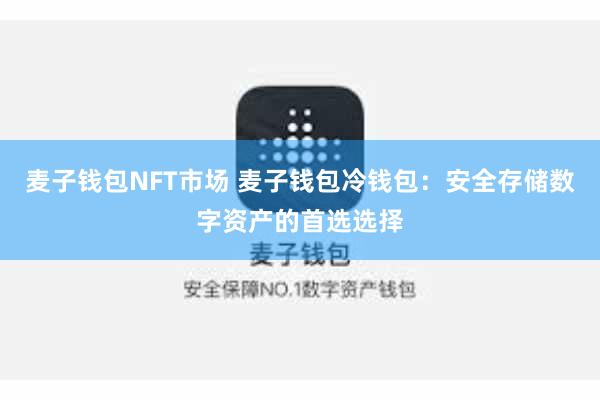麦子钱包NFT市场 麦子钱包冷钱包：安全存储数字资产的首选选择