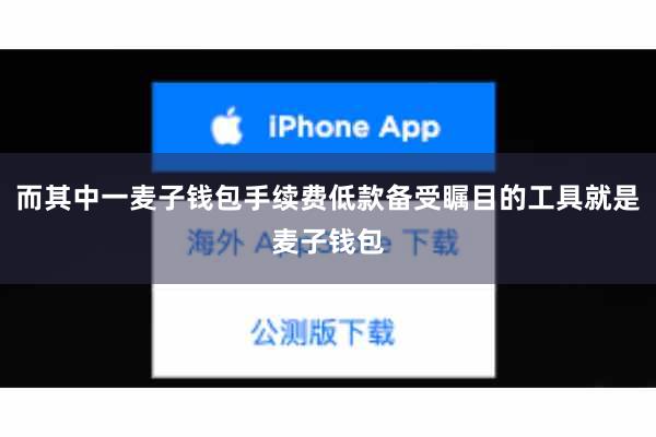 而其中一麦子钱包手续费低款备受瞩目的工具就是麦子钱包