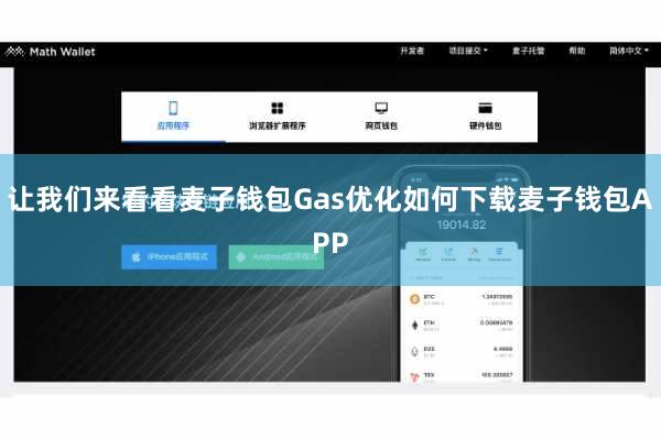 让我们来看看麦子钱包Gas优化如何下载麦子钱包APP