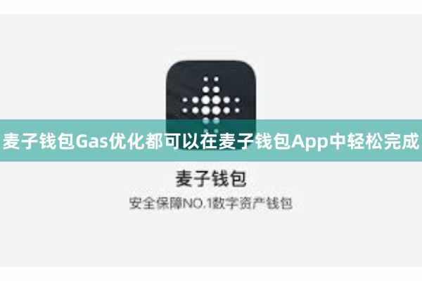 麦子钱包Gas优化都可以在麦子钱包App中轻松完成