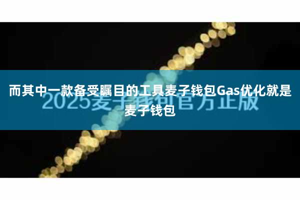 而其中一款备受瞩目的工具麦子钱包Gas优化就是麦子钱包