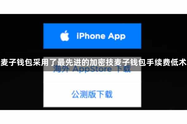 麦子钱包采用了最先进的加密技麦子钱包手续费低术