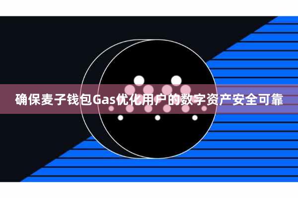 确保麦子钱包Gas优化用户的数字资产安全可靠