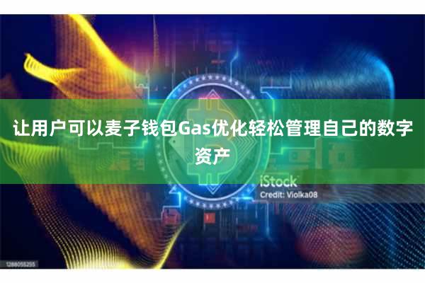 让用户可以麦子钱包Gas优化轻松管理自己的数字资产