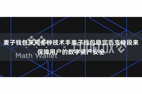 麦子钱包采用多种技术手麦子钱包稳定币支持段来保障用户的数字资产安全