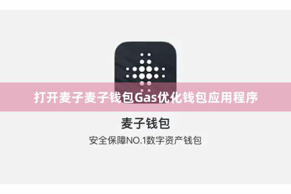 打开麦子麦子钱包Gas优化钱包应用程序