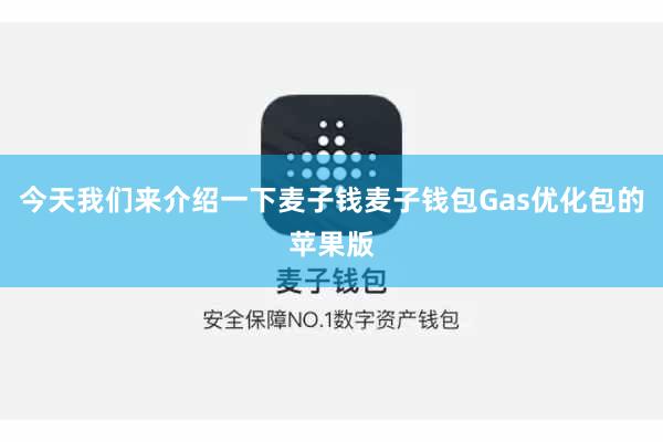 今天我们来介绍一下麦子钱麦子钱包Gas优化包的苹果版