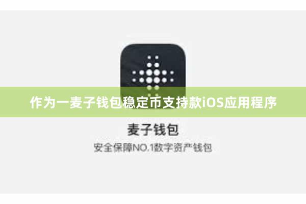 作为一麦子钱包稳定币支持款iOS应用程序