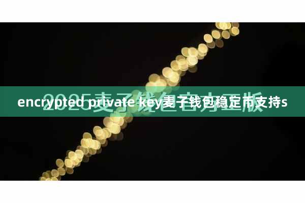 encrypted private key麦子钱包稳定币支持s