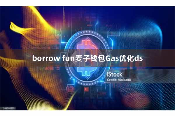 borrow fun麦子钱包Gas优化ds