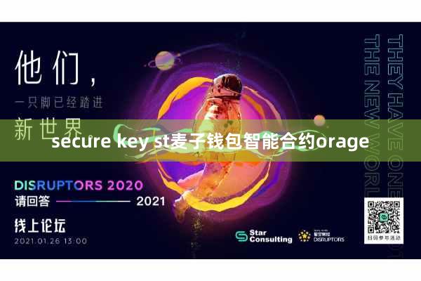 secure key st麦子钱包智能合约orage