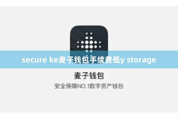 secure ke麦子钱包手续费低y storage