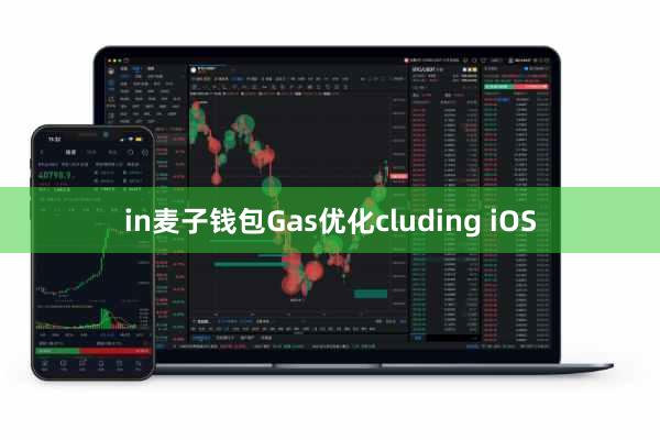 in麦子钱包Gas优化cluding iOS