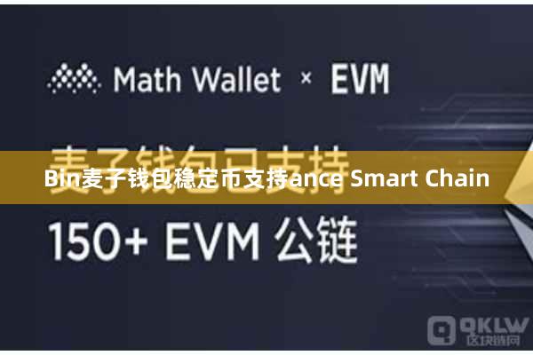 Bin麦子钱包稳定币支持ance Smart Chain