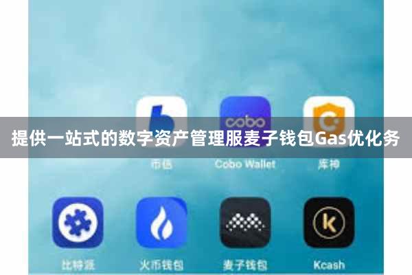提供一站式的数字资产管理服麦子钱包Gas优化务