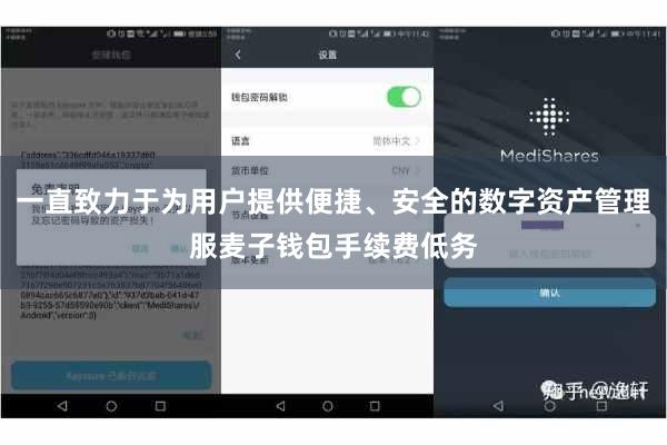 一直致力于为用户提供便捷、安全的数字资产管理服麦子钱包手续费低务