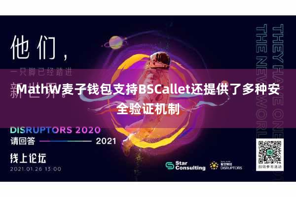 MathW麦子钱包支持BSCallet还提供了多种安全验证机制