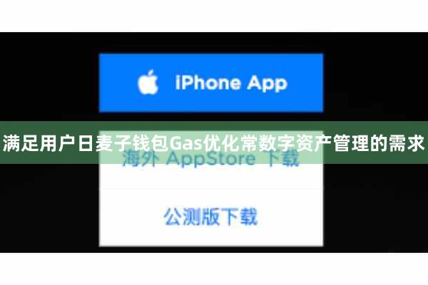 满足用户日麦子钱包Gas优化常数字资产管理的需求
