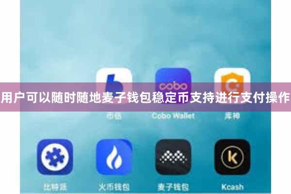 用户可以随时随地麦子钱包稳定币支持进行支付操作
