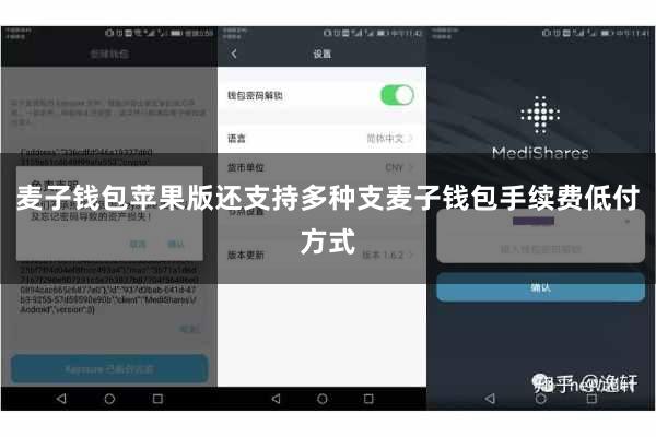 麦子钱包苹果版还支持多种支麦子钱包手续费低付方式