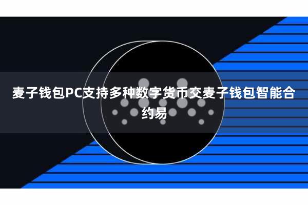 麦子钱包PC支持多种数字货币交麦子钱包智能合约易
