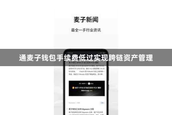 通麦子钱包手续费低过实现跨链资产管理